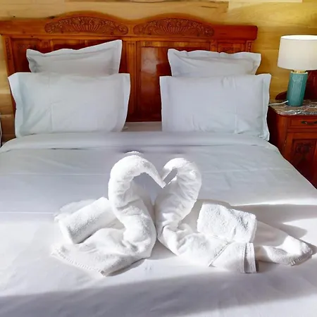 Du Musee بيت للعطل *